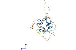 AlphaFold protein structure predicition of Human Recombinant GFI1B Protein, UniprotID Q5VTD9 (GFI1B Protein (AA 1-330) (His tag))