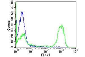 Overlay histogram showing huuman peripheral blood lymphocytes stained with CD3 Antibody (green line). (CD3 antibody)