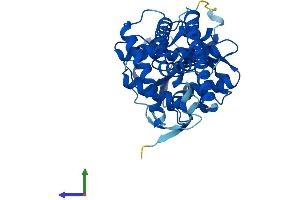 AlphaFold protein structure predicition of Mouse Recombinant Ugcg Protein, UniprotID O88693 (UGCG Protein (AA 1-394) (His tag))
