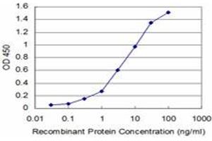 Detection limit for recombinant GST tagged DNTT is approximately 0. (TdT antibody  (AA 1-110))