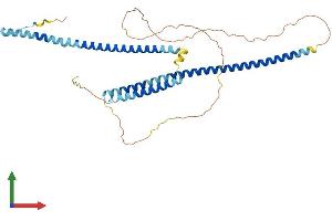 AlphaFold protein structure predicition of Mouse Recombinant Wtap Protein, UniprotID Q9ER69 (WTAP Protein (AA 1-396) (His tag))