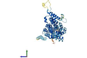 AlphaFold protein structure predicition of Human Recombinant SLC13A5 Protein, UniprotID Q86YT5