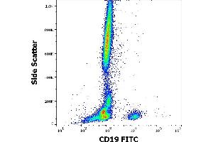 Flow cytometry surface staining pattern of human peripheral whole blood stained using anti-human CD19 (4G7) FITC antibody (20 μL reagent / 100 μL of peripheral whole blood). (CD19 antibody  (FITC))