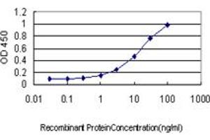 Detection limit for recombinant GST tagged BRMS1 is approximately 0. (BRMS1 antibody  (AA 1-246))