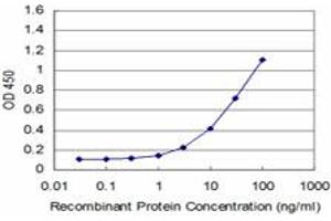 Detection limit for recombinant GST tagged EN1 is approximately 1ng/ml as a capture antibody. (EN1 antibody  (AA 266-392))