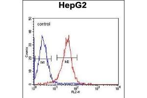 ALDH2 Monoclonal Antibody (ABIN658993 and ABIN2838036) flow cytometric analysis of HepG2 cells (right histogram) compared to a negative control cell (left histogram).