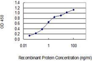 Detection limit for recombinant GST tagged NXNL1 is 0. (NXNL1 antibody  (AA 81-190))