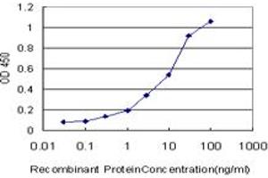 Detection limit for recombinant GST tagged PRKCI is approximately 0. (PKC iota antibody  (AA 1-100))