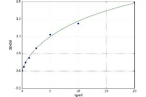 A typical standard curve