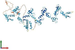 Protein Structure (PS) image for Zinc Finger Protein 30 (ZFP30) (AA 1-623) protein (His tag) (ABIN7545413)