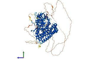 AlphaFold protein structure predicition of Mouse Recombinant Farp1 Protein, UniprotID F8VPU2