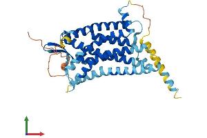 Protein Structure (PS) image for G Protein-Coupled Receptor 15 (GPR15) (AA 1-360) protein (His tag) (ABIN7548156)