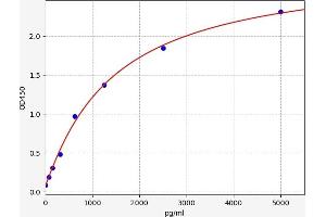Typical standard curve (BCL11B ELISA Kit)