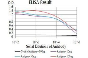 Black line: Control Antigen (100 ng);Purple line: Antigen (10ng); Blue line: Antigen (50 ng); Red line:Antigen (100 ng) (MMP2 antibody  (AA 9-140))