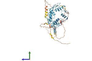 AlphaFold protein structure predicition of Human Recombinant ZSCAN21 Protein, UniprotID Q9Y5A6 (ZSCAN21 Protein (AA 1-473) (His tag))
