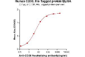 ELISA image for Tumor Necrosis Factor Receptor Superfamily, Member 8 (TNFRSF8) (AA 19-379) protein (His tag) (ABIN6961166)