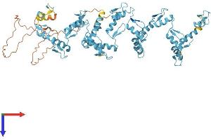 Protein Structure (PS) image for Zinc Finger Protein 799 (ZNF799) (AA 1-643) protein (His tag) (ABIN7545358)