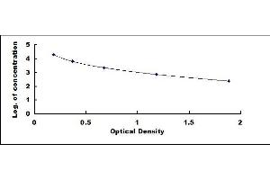 Typical standard curve (PINP ELISA Kit)