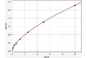 Interferon Regulatory Factor 5 (IRF5) ELISA Kit