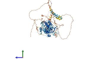 Protein Structure (PS) image for Rhomboid 5 Homolog 1 (RHBDF1) (AA 1-855) protein (His tag) (ABIN7555173)