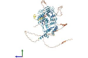 AlphaFold protein structure predicition of Human Recombinant ZKSCAN7 Protein, UniprotID Q9P0L1 (Zinc Finger with KRAB and SCAN Domains 7 (ZKSCAN7) (AA 1-754) protein (His tag))