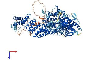 AlphaFold protein structure predicition of Human Recombinant TTC13 Protein, UniprotID Q8NBP0