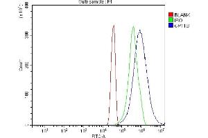 Flow Cytometry analysis of Hela cells using anti-CPT1B antibody (ABIN7600359). (CPT1B antibody  (AA 180-772))