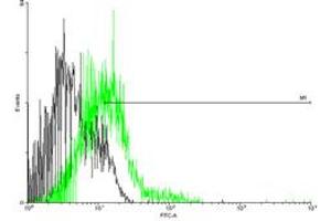 FACS analysis of negative control 293 cells (Black) and CCBP2 expressing 293 cells (Green) using CCBP2 purified MaxPab mouse polyclonal antibody. (CCBP2 antibody  (AA 1-384))