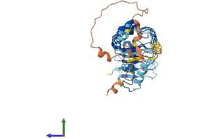 AlphaFold protein structure predicition of Mouse Recombinant Lrrc58 Protein, UniprotID Q3UGP9 (LRRC58 Protein (AA 1-366) (His tag))