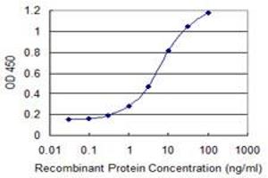 Detection limit for recombinant GST tagged ZNF154 is 0. (ZNF154 antibody  (AA 1-98))