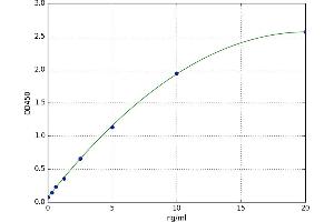 G Protein-Coupled Estrogen Receptor 1 (GPER) ELISA Kit