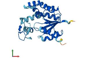 Protein Structure (PS) image for Adenylate Kinase 4 (AK4) (AA 1-223) protein (His tag) (ABIN7548658)