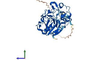 Protein Structure (PS) image for metallophosphoesterase Domain Containing 1 (MPPED1) (AA 1-326) protein (His tag) (ABIN7549555)
