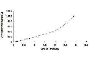 Typical standard curve (IL-17 ELISA Kit)