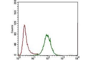 Flow cytometric analysis of Hela cells using IL3RA mouse mAb (green) and negative control (red). (IL3RA antibody  (AA 200-305))