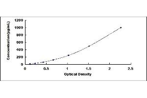 Typical standard curve (Somatostatin ELISA Kit)