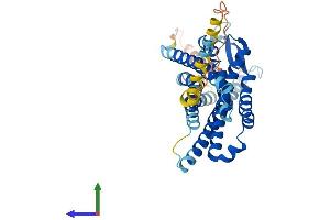 AlphaFold protein structure predicition of Mouse Recombinant Fpr1 Protein, UniprotID P33766