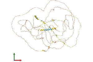 AlphaFold protein structure predicition of Human Recombinant FSCB Protein, UniprotID Q5H9T9 (FSCB Protein (AA 1-825) (His tag))