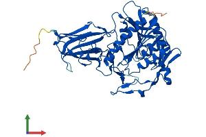 AlphaFold protein structure predicition of Mouse Recombinant Acot3 Protein, UniprotID Q9QYR7