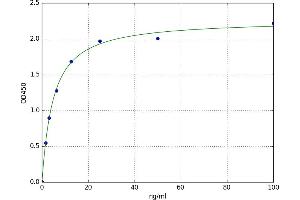 Topoisomerase (DNA) I (TOP1) ELISA Kit