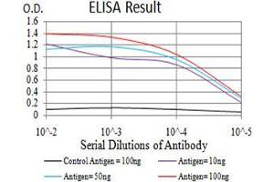 Black line: Control Antigen (100 ng),Purple line: Antigen (10 ng), Blue line: Antigen (50 ng), Red line:Antigen (100 ng) (SHP1 antibody  (AA 243-541))