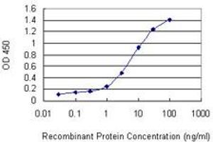 Detection limit for recombinant GST tagged VCX3A is 0. (VCX3A antibody  (AA 2-100))