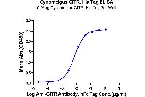 ELISA image for Tumor Necrosis Factor Receptor Superfamily, Member 18 (TNFRSF18) (AA 20-156) protein (His tag) (ABIN7274785)