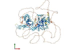 AlphaFold protein structure predicition of Human Recombinant MCM9 Protein, UniprotID Q9NXL9 (MCM9 Protein (AA 1-1143) (His tag))