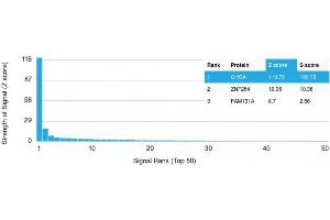 Analysis of Protein Array containing >19,000 full-length human proteins using Chromogranin A Mouse Recombinant Monoclonal Antibody (rCHGA/798) Z- and S- Score: The Z-score represents the strength of a signal that a monoclonal antibody (Monoclonal Antibody) (in combination with a fluorescently-tagged anti-IgG secondary antibody) produces when binding to a particular protein on the HuProtTM array. (Recombinant Chromogranin A antibody)
