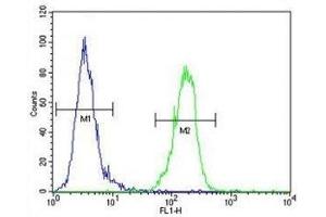 AKT1 antibody flow cytometric analysis of MDA-MB435 cells (green) compared to a negative control (blue). (AKT1 antibody  (AA 115-144))