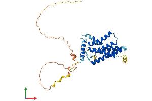 AlphaFold protein structure predicition of Mouse Recombinant Plpp6 Protein, UniprotID Q9D4F2 (PPAPDC2 Protein (AA 1-292) (His tag))