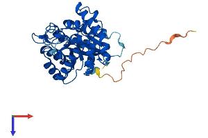 Protein Structure (PS) image for YdjC Homolog (YdjC) (AA 1-323) protein (His tag) (ABIN7545213)