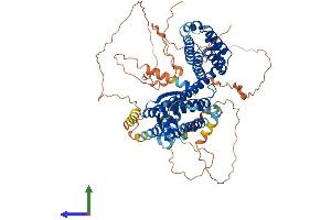 AlphaFold protein structure predicition of Mouse Recombinant Rfx2 Protein, UniprotID P48379 (RFX2 Protein (AA 1-717) (His tag))