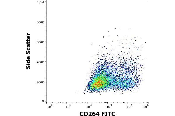 DcR2 Antikörper  (AA 1-210) (FITC)